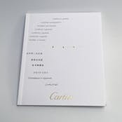 Cartier Santos Demoiselle W25073X9