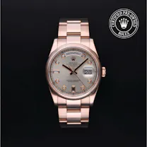 Day-Date alternate view 2