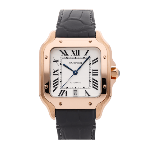 Vertical Santos Large Model