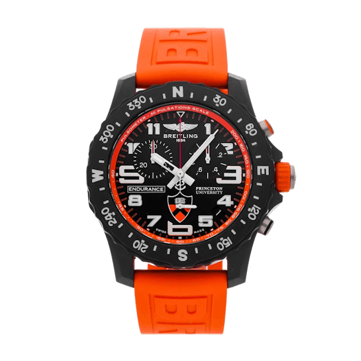 Vertical Endurance Pro Princeton University