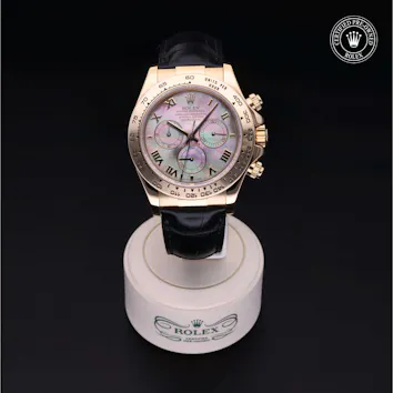 Gallery image 1 for Cosmograph Daytona