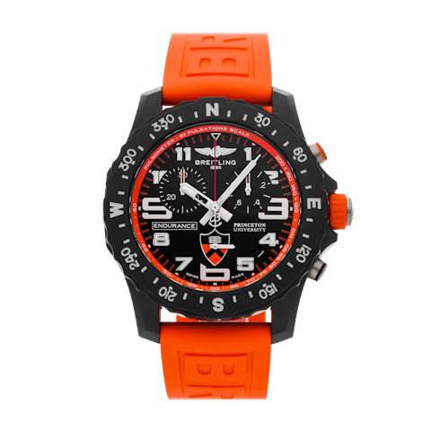 Vertical Endurance Pro Princeton University