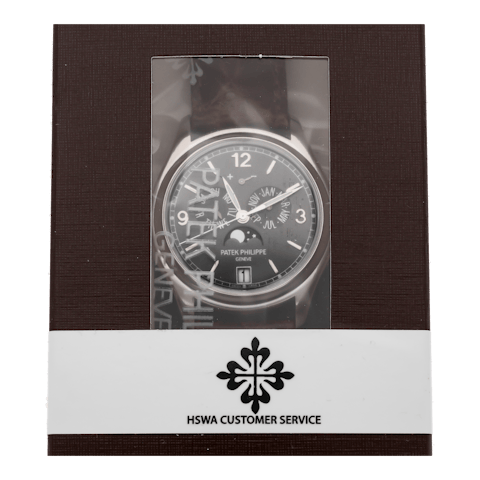 Vertical Complications Annual Calendar Moon Phases