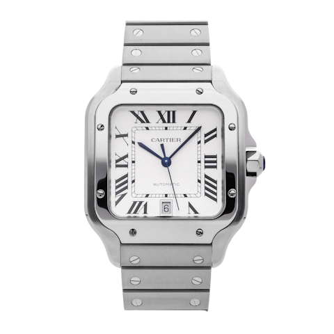 Vertical Santos Large Model