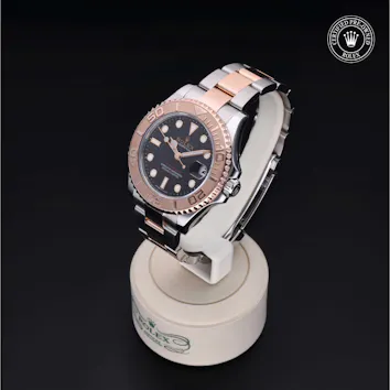 Gallery image 2 for Yacht-Master