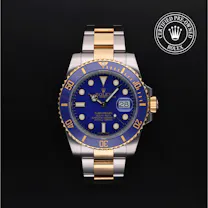 Submariner alternate view 2