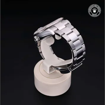 Gallery image 3 for Sky-Dweller